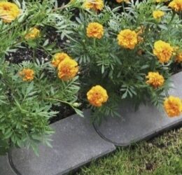 Delimitare Gazon 22x12x4.5 cm