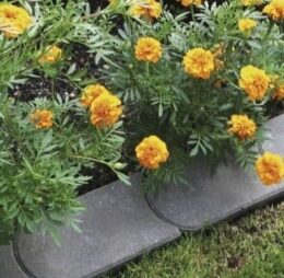 Delimitare Gazon 22x12x4.5 cm