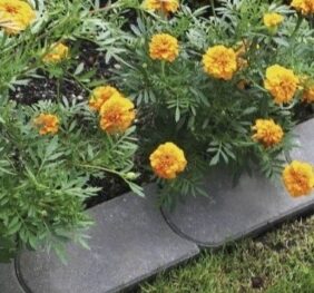 Delimitare Gazon 22x12x4.5 cm