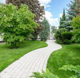 Rustic Clasic Combi 6 cm