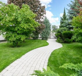 Rustic Clasic Combi 6 cm