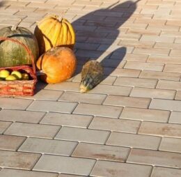 Cammino Mix Color, Symm 21