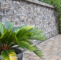 Element Placare Rock, Symm 99