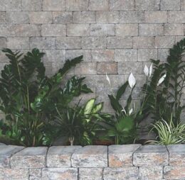 Element Placare Rock Antica, Symm 99