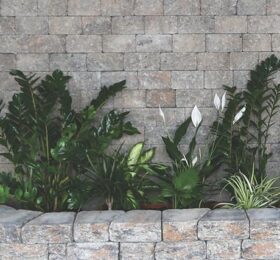 Element Placare Rock Antica, Symm 99