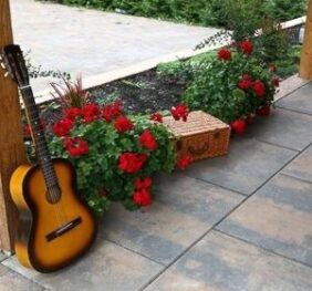 Maxia Mix Color, Symm 07