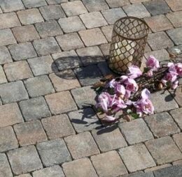 Plaza Antica, Symm 113