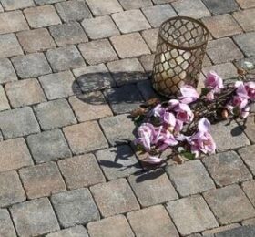 Plaza Antica, Symm 113