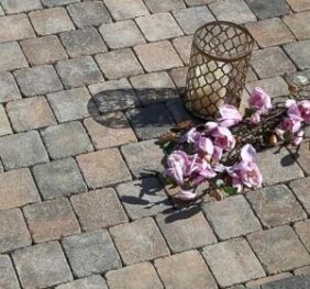 Plaza Antica, Symm 113